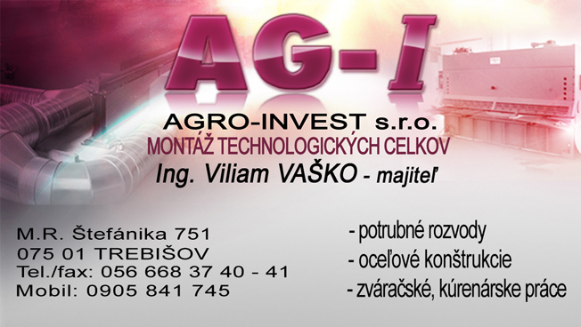 Vizitka 17