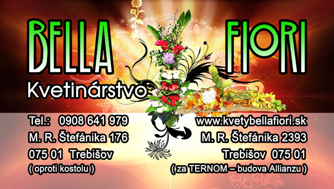 Vizitka 9